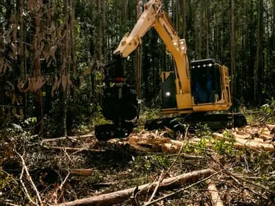 Land Clearing Services Omaha in Omaha
